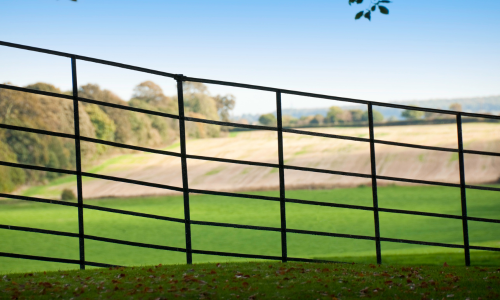 A farm fence in a pasture