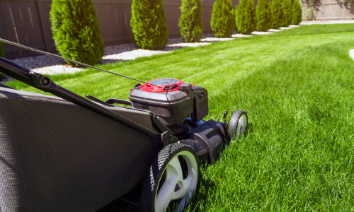 A push mower cutting grass
