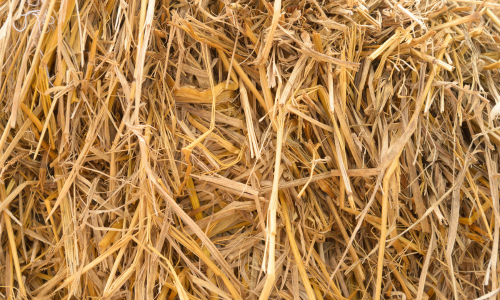 Straw