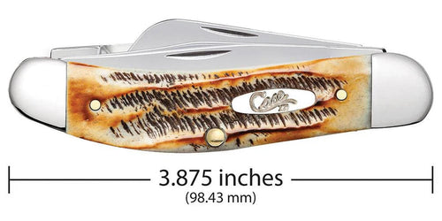 Case Knives 6.5 BoneStag® Sowbelly