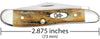 Case Genuine Stag Peanut Knife
