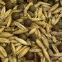 Anilogics CRUSH® Granular Attractant (Copy)